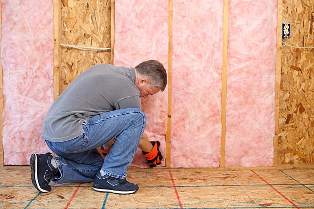 Best Commercial Insulation in Elkridge, MD